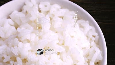 u:mai商品紹介HP用イメージ（架空）【B】